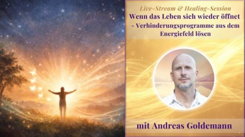 LS Energy Flow Andreas LS Energy Flow Andreas